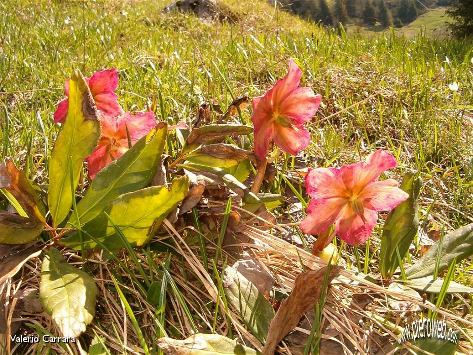 11° Il colore dell'arrivederci.jpg